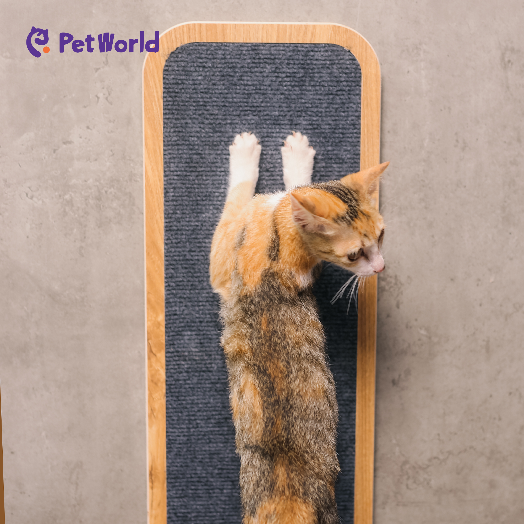 CST002 Space-Saving Wall-Mounted Cat Scratcher_03