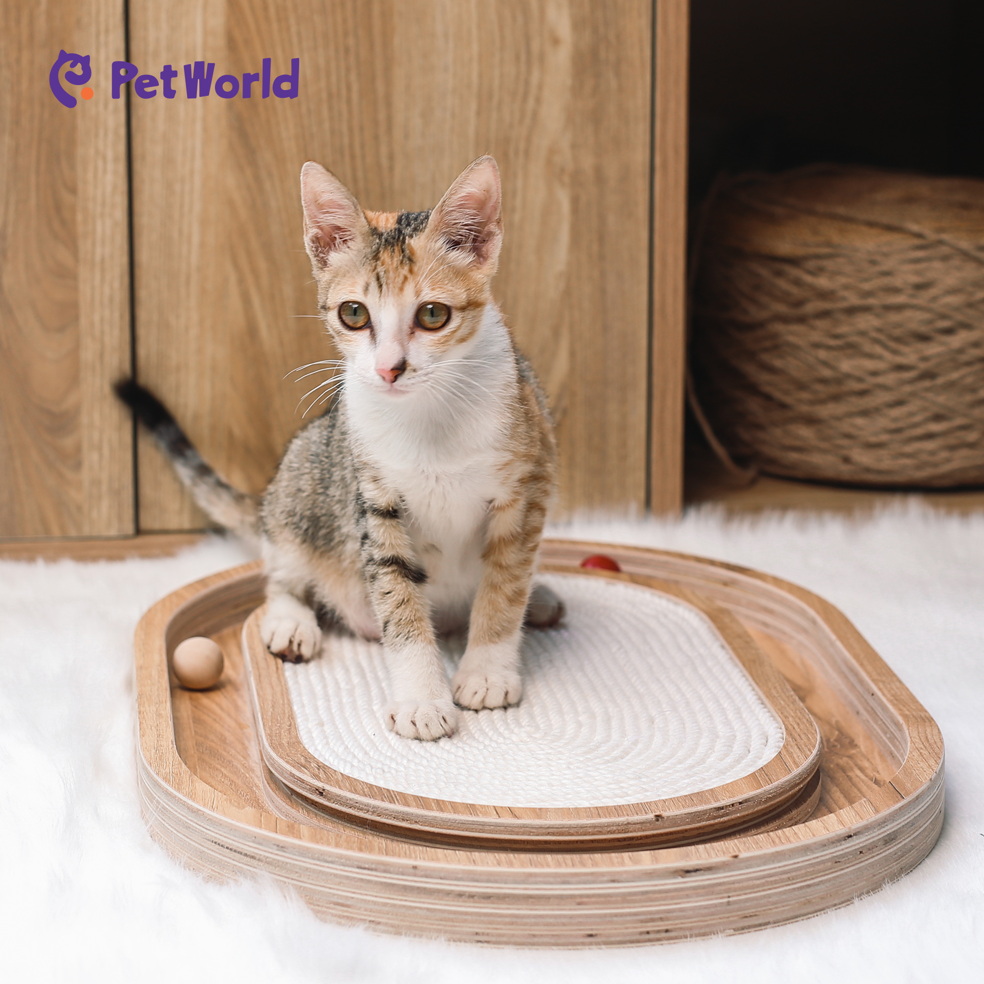 CST003 Eco-Friendly Oval Wooden Cat Scratcher with Interactive Balls_03