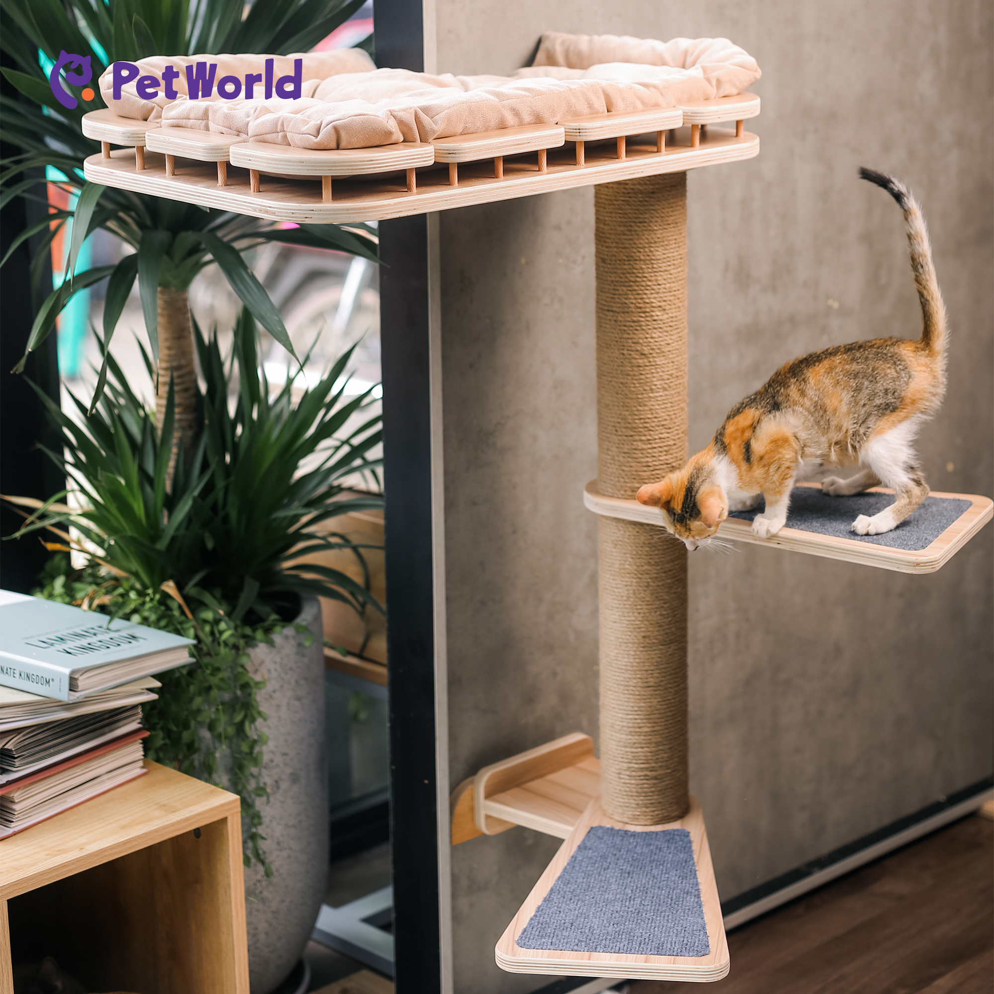 CWS002 Wall-Mounted Cat Bed with Integrated Scratch Posts_02