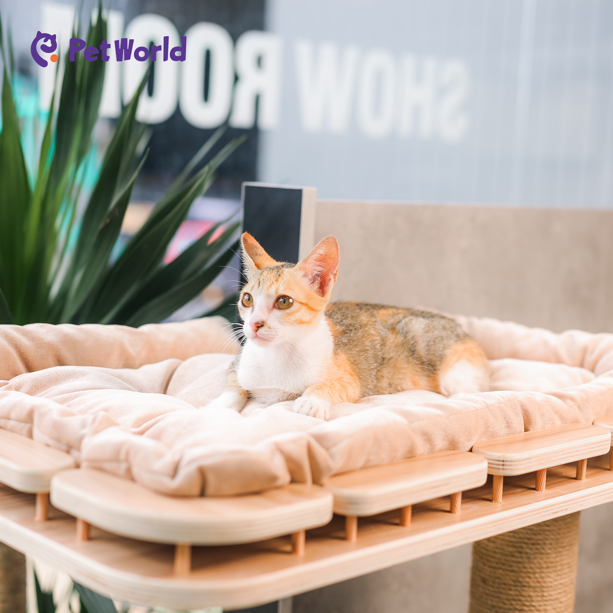 CWS002 Wall-Mounted Cat Bed with Integrated Scratch Posts_05