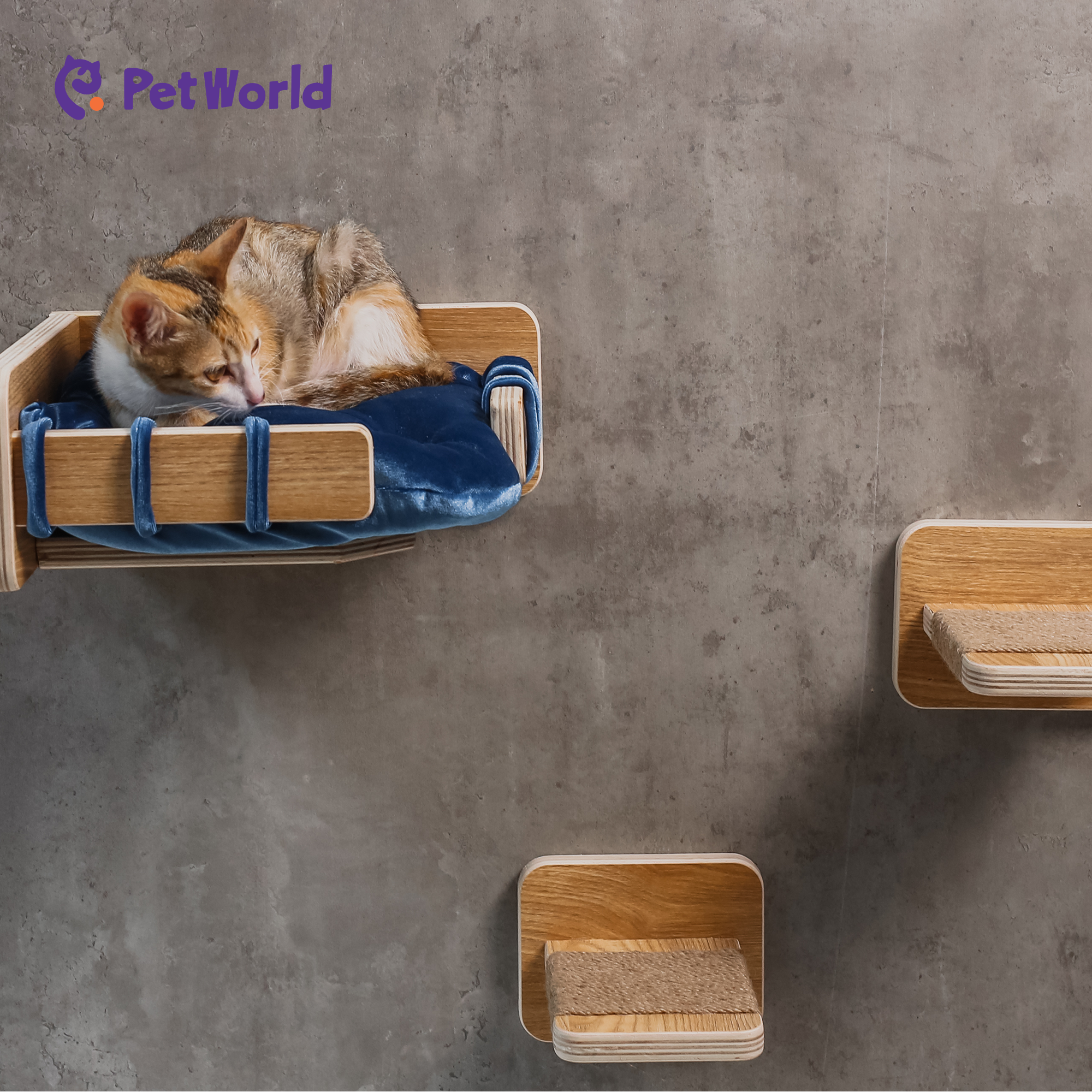 CWS004 Elevated Feline Comfort Wall-Mounted Pet Bed Set_02