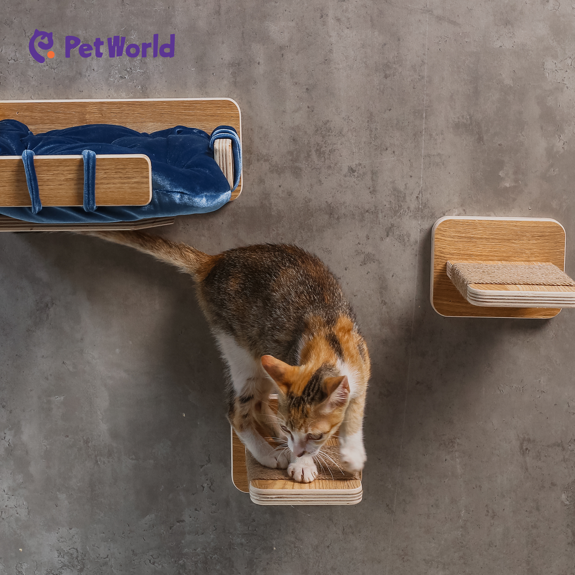 CWS004 Elevated Feline Comfort Wall-Mounted Pet Bed Set_04