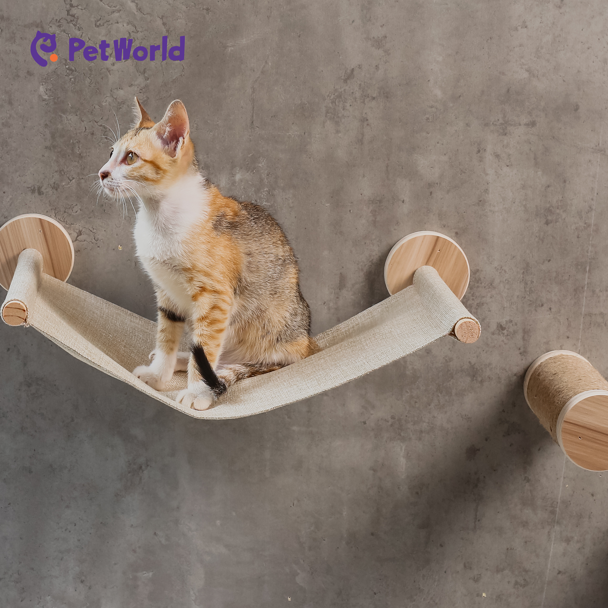 CWS005 Modern Wall-Mounted Cat Hammock with Climbing Steps_02