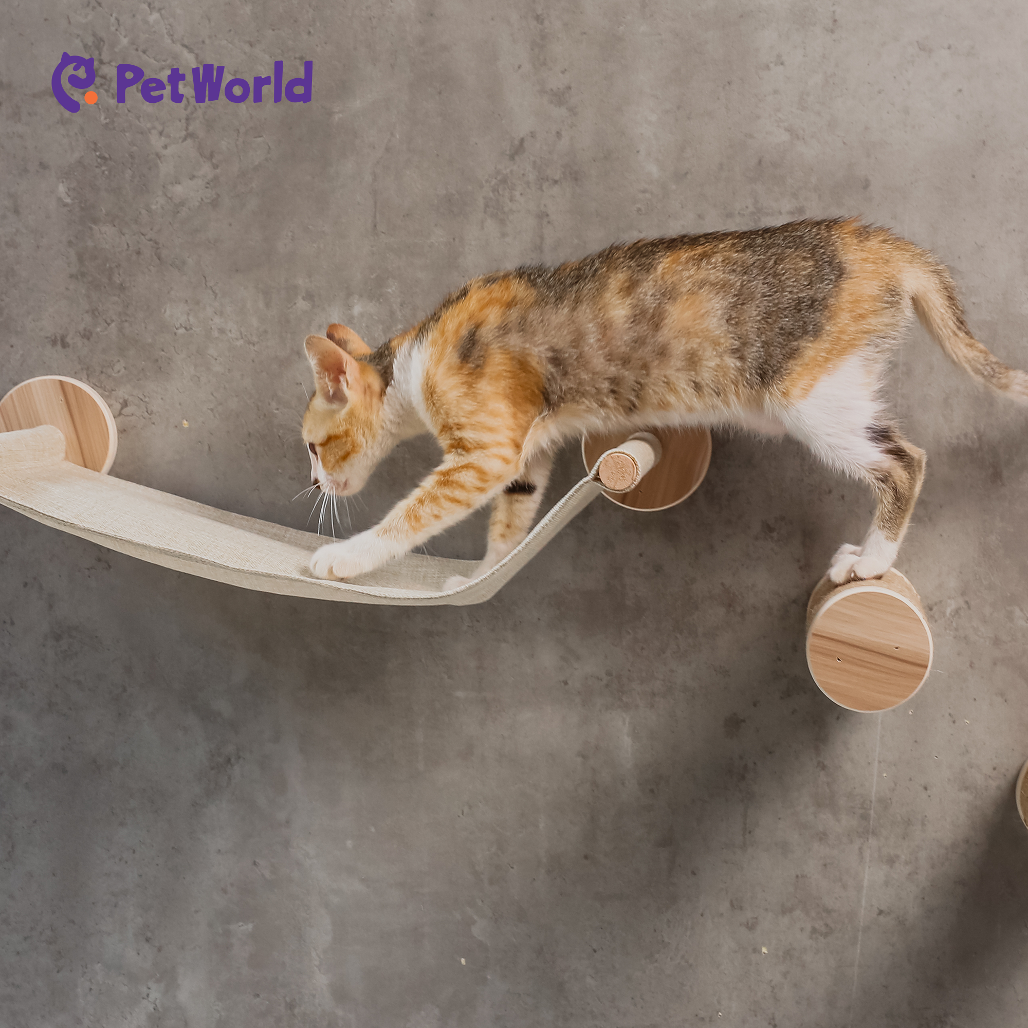 CWS005 Modern Wall-Mounted Cat Hammock with Climbing Steps_04