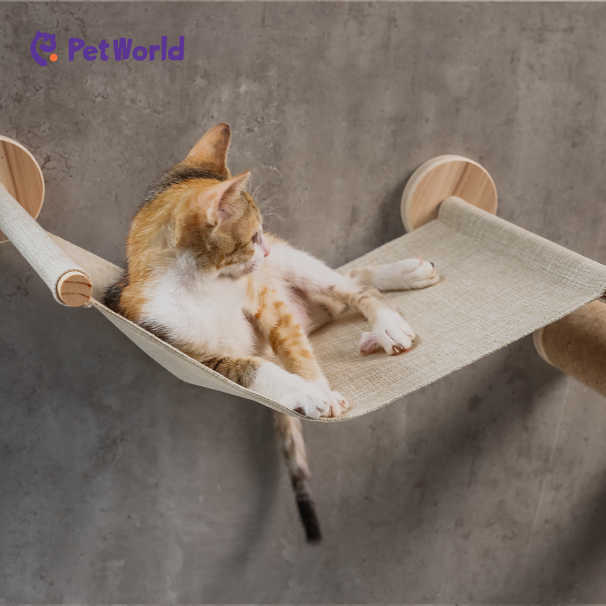 CWS005 Modern Wall-Mounted Cat Hammock with Climbing Steps_05