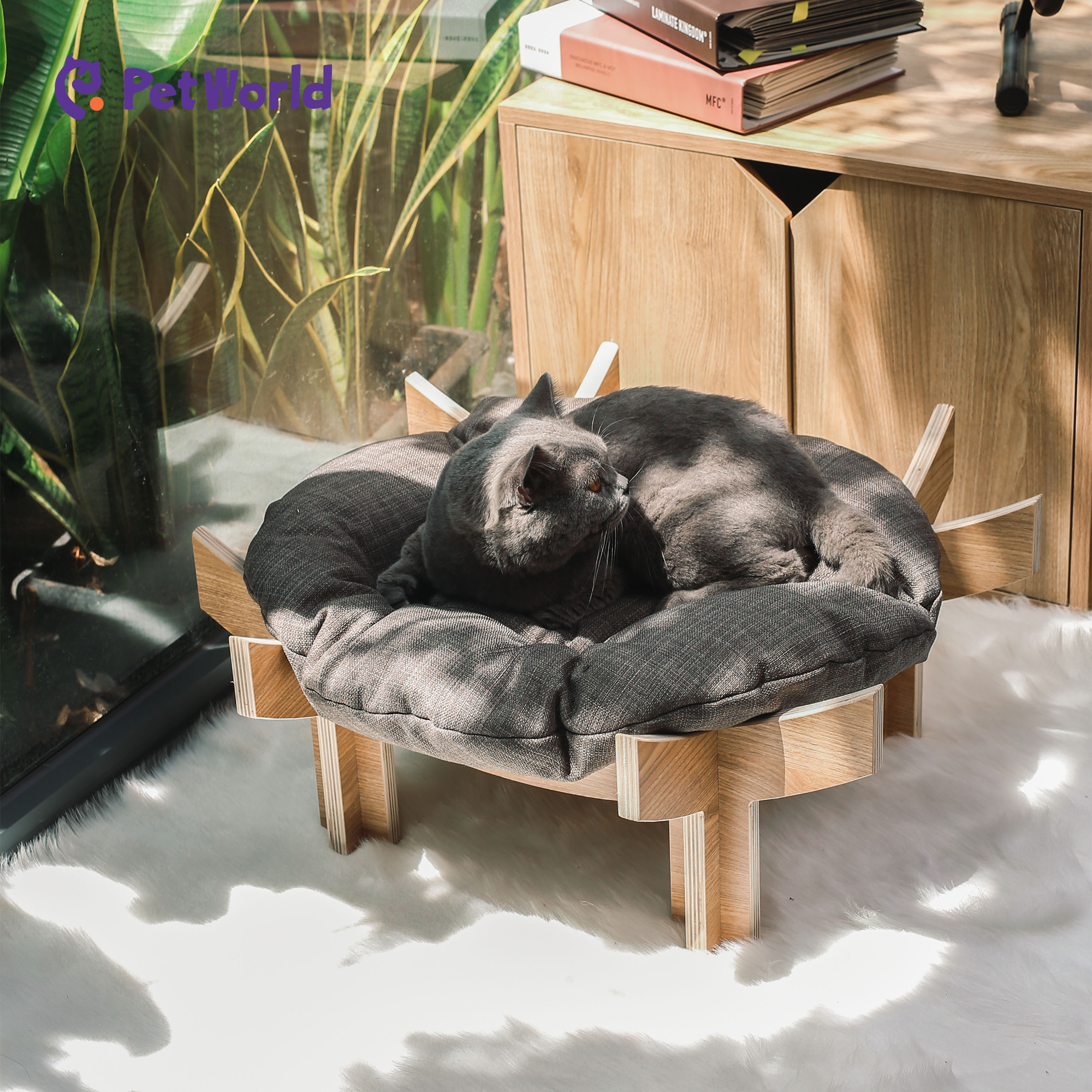 Modern Wooden Pet Lounge Chair_04